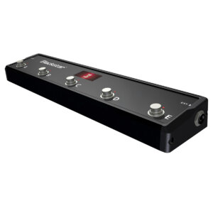 angled view of Footswitch 12 FS-12